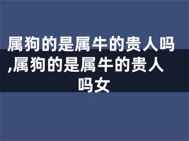 属狗的是属牛的贵人吗,属狗的是属牛的贵人吗女