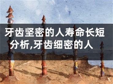 牙齿坚密的人寿命长短分析,牙齿细密的人