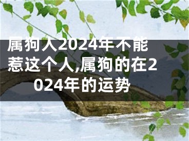 属狗人2024年不能惹这个人,属狗的在2024年的运势
