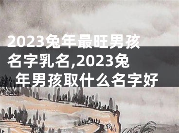 2023兔年最旺男孩名字乳名,2023兔年男孩取什么名字好
