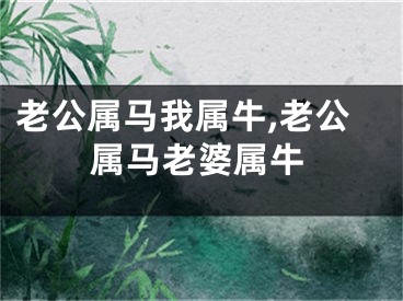 老公属马我属牛,老公属马老婆属牛
