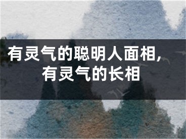 有灵气的聪明人面相,有灵气的长相