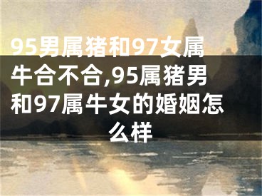 95男属猪和97女属牛合不合,95属猪男和97属牛女的婚姻怎么样