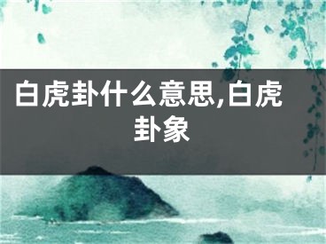 白虎卦什么意思,白虎卦象
