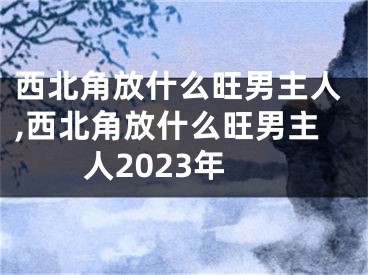 西北角放什么旺男主人,西北角放什么旺男主人2023年