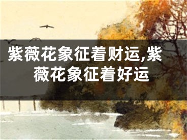 紫薇花象征着财运,紫薇花象征着好运