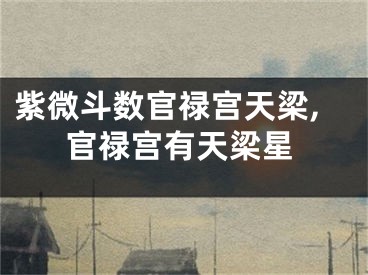 紫微斗数官禄宫天梁,官禄宫有天梁星