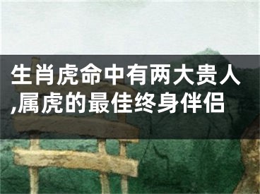 生肖虎命中有两大贵人,属虎的最佳终身伴侣