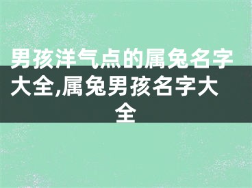男孩洋气点的属兔名字大全,属兔男孩名字大全
