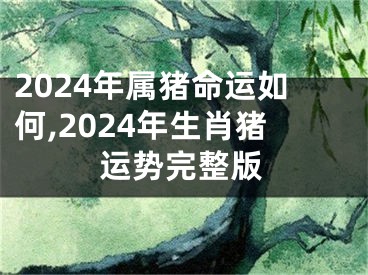 2024年属猪命运如何,2024年生肖猪运势完整版