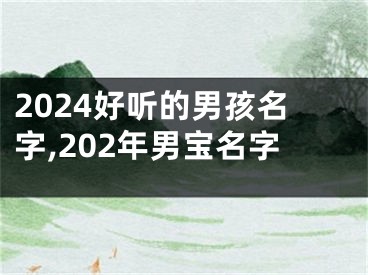 2024好听的男孩名字,202年男宝名字
