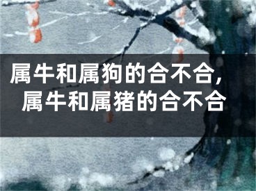 属牛和属狗的合不合,属牛和属猪的合不合
