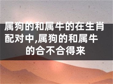 属狗的和属牛的在生肖配对中,属狗的和属牛的合不合得来