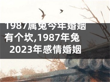 1987属兔今年婚姻有个坎,1987年兔2023年感情婚姻