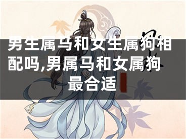 男生属马和女生属狗相配吗,男属马和女属狗最合适