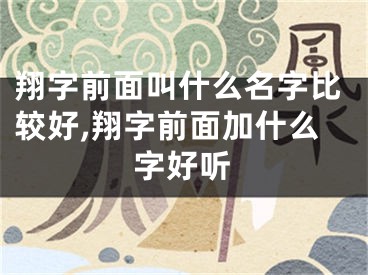 翔字前面叫什么名字比较好,翔字前面加什么字好听
