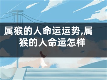 属猴的人命运运势,属猴的人命运怎样