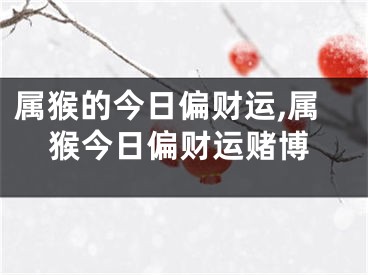 属猴的今日偏财运,属猴今日偏财运赌博