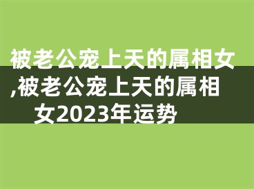 被老公宠上天的属相女,被老公宠上天的属相女2023年运势