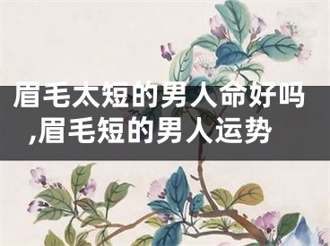 眉毛太短的男人命好吗,眉毛短的男人运势