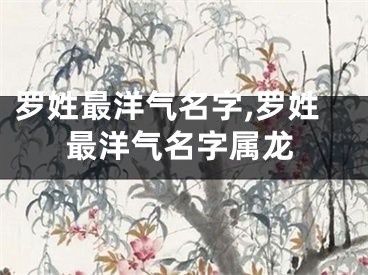 罗姓最洋气名字,罗姓最洋气名字属龙