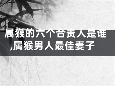 属猴的六个合贵人是谁,属猴男人最佳妻子