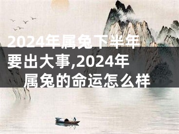 2024年属兔下半年要出大事,2024年属兔的命运怎么样