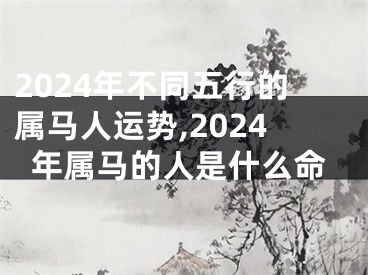 2024年不同五行的属马人运势,2024年属马的人是什么命