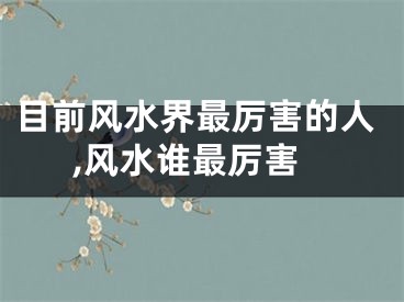 目前风水界最厉害的人,风水谁最厉害