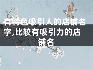 有特色吸引人的店铺名字,比较有吸引力的店铺名
