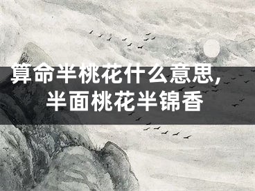 算命半桃花什么意思,半面桃花半锦香
