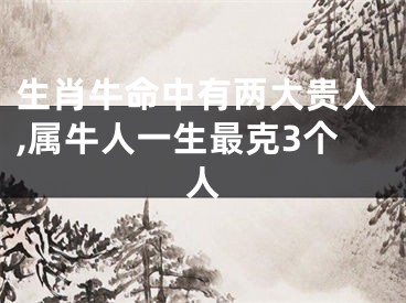 生肖牛命中有两大贵人,属牛人一生最克3个人