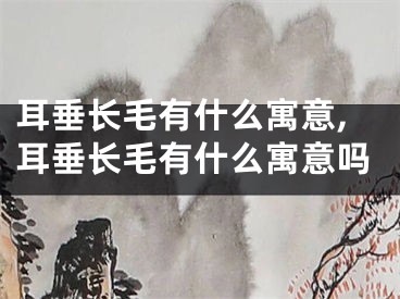 耳垂长毛有什么寓意,耳垂长毛有什么寓意吗