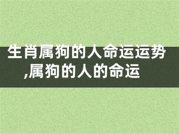 生肖属狗的人命运运势,属狗的人的命运