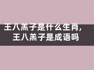 王八羔子是什么生肖,王八羔子是成语吗