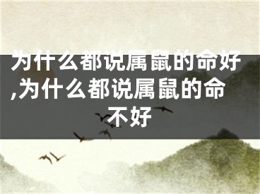 为什么都说属鼠的命好,为什么都说属鼠的命不好
