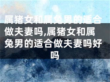 属猪女和属兔男的适合做夫妻吗,属猪女和属兔男的适合做夫妻吗好吗