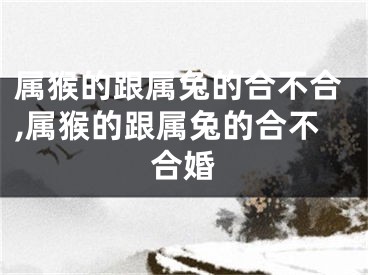 属猴的跟属兔的合不合,属猴的跟属兔的合不合婚