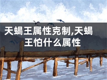 天蝎王属性克制,天蝎王怕什么属性
