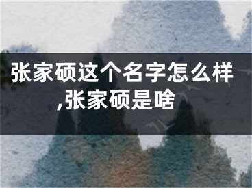 张家硕这个名字怎么样,张家硕是啥