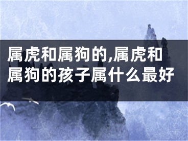 属虎和属狗的,属虎和属狗的孩子属什么最好