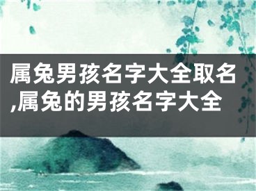 属兔男孩名字大全取名,属兔的男孩名字大全