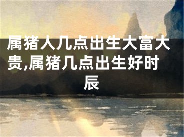 属猪人几点出生大富大贵,属猪几点出生好时辰