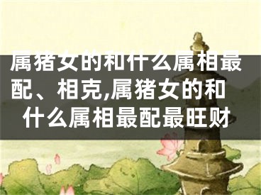 属猪女的和什么属相最配、相克,属猪女的和什么属相最配最旺财