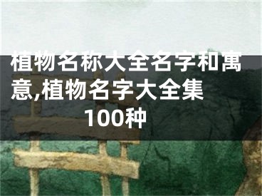 植物名称大全名字和寓意,植物名字大全集 100种