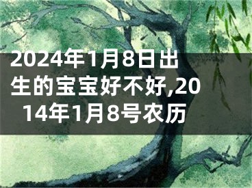2024年1月8日出生的宝宝好不好,2014年1月8号农历
