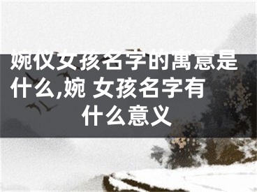 婉仪女孩名字的寓意是什么,婉 女孩名字有什么意义