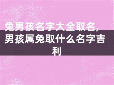 兔男孩名字大全取名,男孩属兔取什么名字吉利