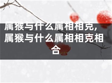 属猴与什么属相相克,属猴与什么属相相克相合