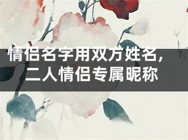 情侣名字用双方姓名,二人情侣专属昵称